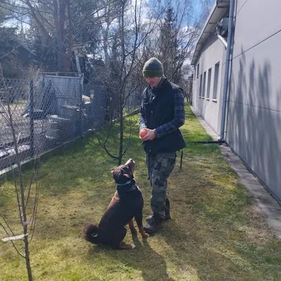 Krzysztof Dec szkolenie psów - konsultacje behawioralne Piastów - szkolenie szczeniąt - szkolenie psów agresywnych Piastów